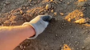 Запуск посевного комплекса Севмастер 10