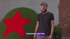 Топиари Тут | О компании