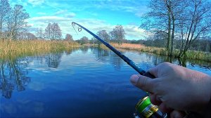 Интересно когда я один ловлю а другие нет, ЧТО ПРО МЕНЯ ДУМАЮТ?