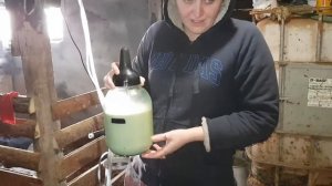 Рацион кормления телят в 1,5 месяца Как мы кормим покупных телят.