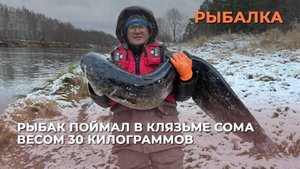 Рыбак поймал в Клязьме Сома весом 30 килограммов