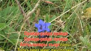 КЪОБАН