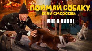 Поймай собаку, если сможешь - Уже в кино!