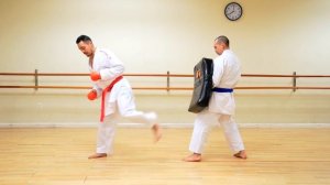 USHIRO GERI TUTORIAL (Spinning Back Kick)