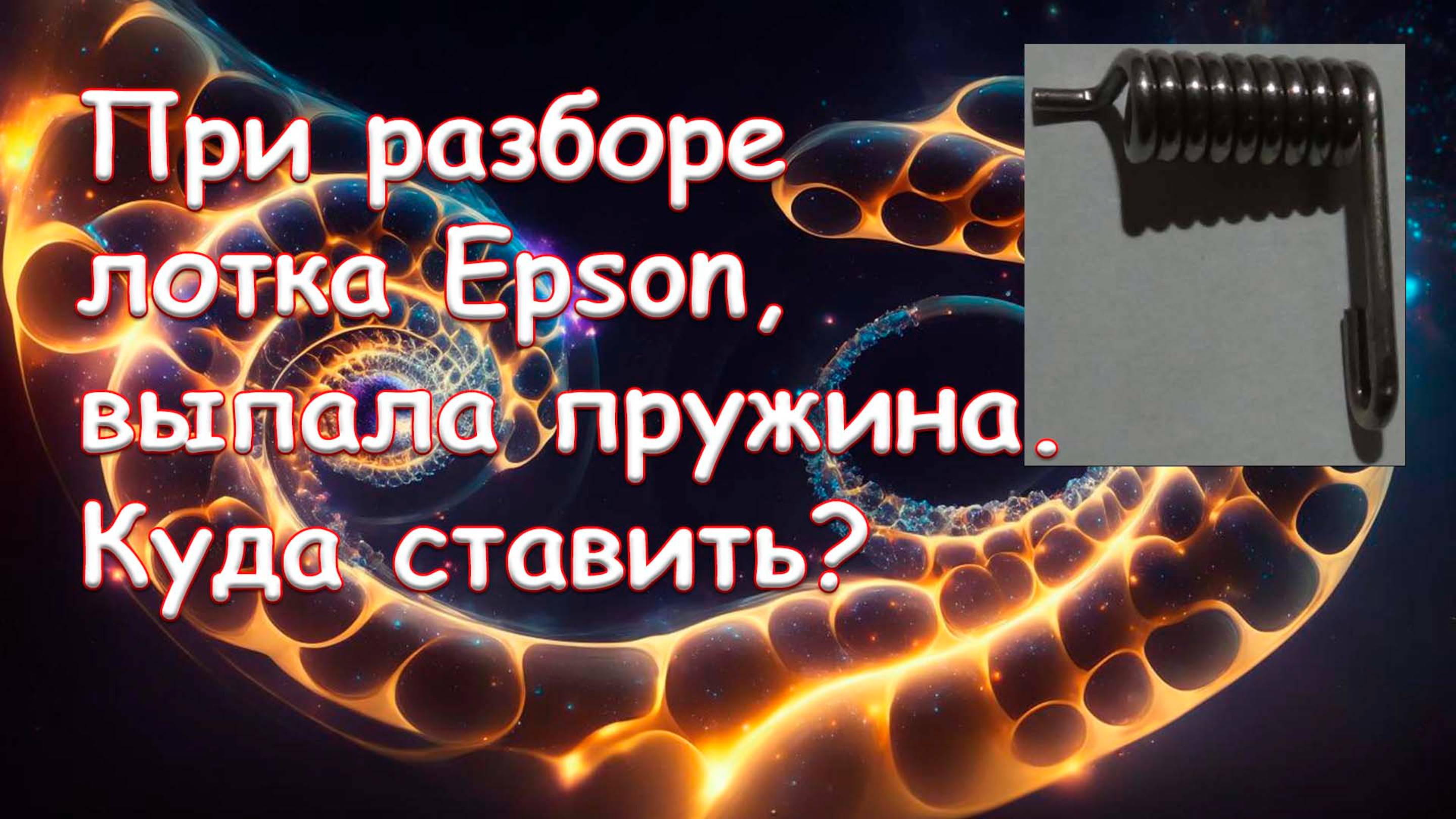 При разборе лотка Epson, выпала пружина. Куда ставить?