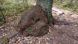 день 1 Воттоваара (2024г)