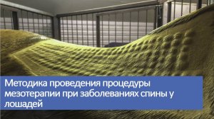 Мезотерапия у лошадей 3 лекция