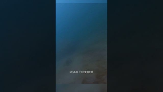 Золотые рыбки соблазняют на выстрел - Подводная охота, Дагестан #подводнаяохота