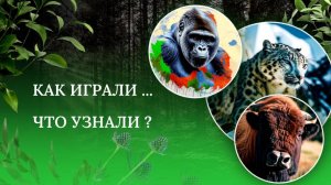 Как играли...
Что узнали ?