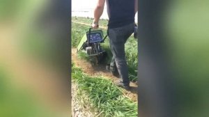 Ручной комбайн для уборки лука на перо