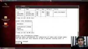 Lecture 11 - Dumping via SQL