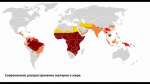 Работает ли естественный отбор сегодня – Станислав Дробышевский  Лекции по антропологии  Научпоп