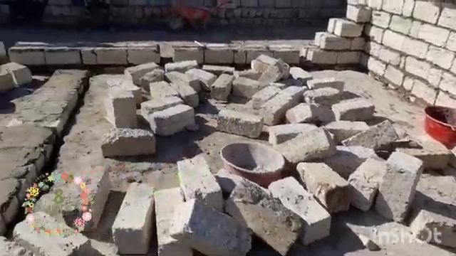 Предпраздничный день в приюте