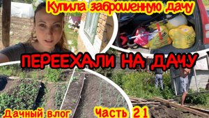 ПЕРЕЕХАЛИ НА ДАЧУ/МОЙ ЗАРОСШИЙ ОГОРОД/ПРОПАЛЫВАЮ ГРЯДКИ/РАБОТА В ОГОРОДЕ/КУПИЛА ЗАБРОШЕННУЮ ДАЧУ