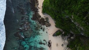 6981351-hd_1920_1080_25fps