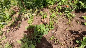 Купили электровелосипед/покупки с ОЗОН