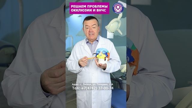 Память и проблемы с зубами