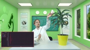 11 Исследование освещенности на разных ярусах комнатного растения