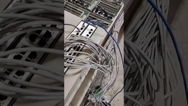 24 antminer s19 коиптокотел