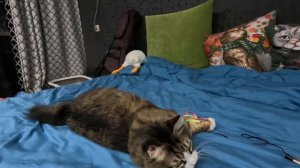 Дискотека 80-х