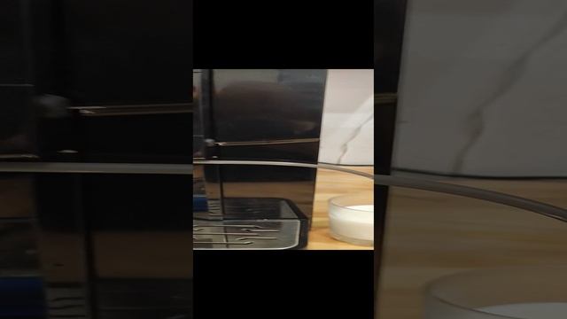 Кофемашина Moretti Quattro Force, демонстрация работоспособности смотреть онлайн