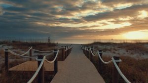 6662348-uhd_3840_2160_24fps