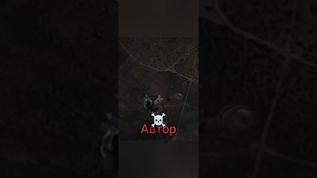 видео😃 и автор ☠️ смотреть онлайн