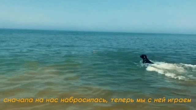 VLOG 2 BLAGA BEACH/TUAPSE смотреть онлайн