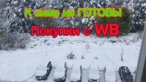 К зиме не готовы Покупки с WB