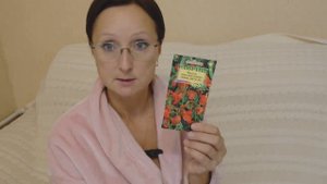 Хроника в городе 7 ноября 2024 года. Семена 2024-2025