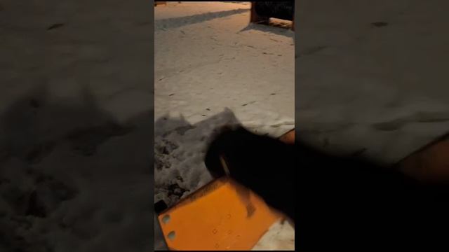 Одежда для стаффбуля от DW