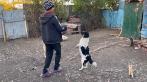 Подписчики Перевели Деньги – МЫ ПОЕХАЛИ НА РЫНОК, Но Нас НАКРЫЛА ЧЁРНАЯ Полоса.