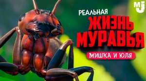 УПРАВЛЯЕМ АРМИЕЙ МУРАВЬЕВ - САМАЯ РЕАЛИСТИЧНАЯ ЖИЗНЬ МУРАВЬЯ ♦ Empire of the Ants