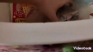 УЗНАЁМ ВСЁ О ПРИЗРАКЕ МЭРИ! ВСЕ ТАЙНЫ МЭРИ РАСКРЫТЫ!! ВСЕ АРТЕФАКТЫ. Сезон 3. 0.95. Серия 1.