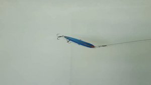 LureMax Punisher I Незаменимый воблер в коробке рыболова