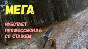 Охота на зайца 03.11.2024