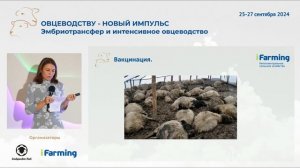 Повышение эффективности овцеводческих хозяйств зоотехническими методами. Спикер Мохнева Анна