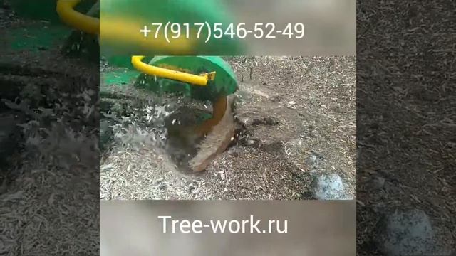 Корчевка пней методом измельчения пнедробилкой laski 360. Дробление и удаление пней. Tree-work.ru