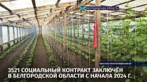 3521 социальный контракт заключён в Белгородской области с начала 2024 г.