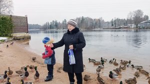 "Жизнь на пенсии".. Внучок вывел меня на прогулку 🦆🦆.