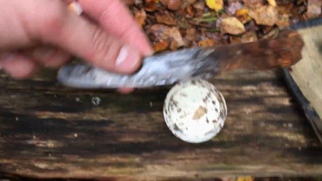 КОП ПО ВОЙНЕ! На немецких позициях! Мажоры или хабар из Франции)WW2 смотреть онлайн