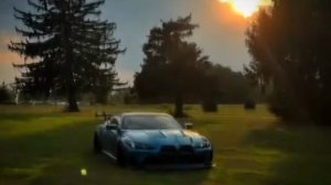 Эдит Дженни китти