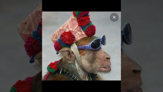 мемы🤣🤣🤣 смотреть онлайн