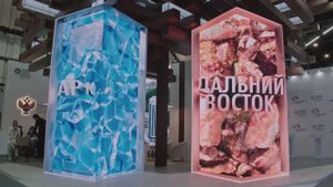 ПМЭФ-2024 Министерство по развитию Дальнего Востока и Арктики