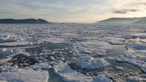 8016826-uhd_3840_2160_25fps