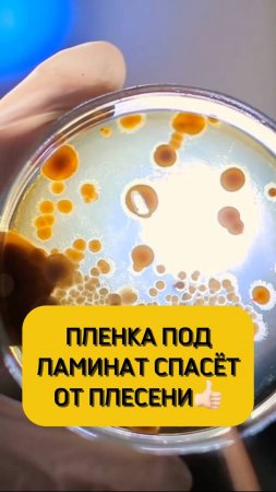 Для чего нужна плёнка для укладки ламината