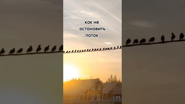 Как не останавливать поток.