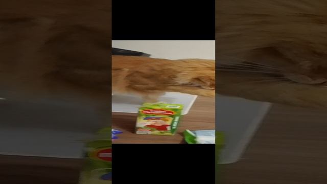 ееееем