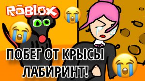 😨‼️ИГРАЮ В ПОБЕГ ОТ КРЫСЫ‼️ПРОШЛА ИГРУ⁉️😨