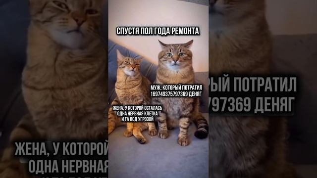 #ремонтквартирыподключ #домашнийинтерьер #дизайнпроект #ремонтмосква #ремонтквартиры #дизайнквартиры